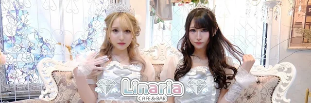 Linariaの公式バナー